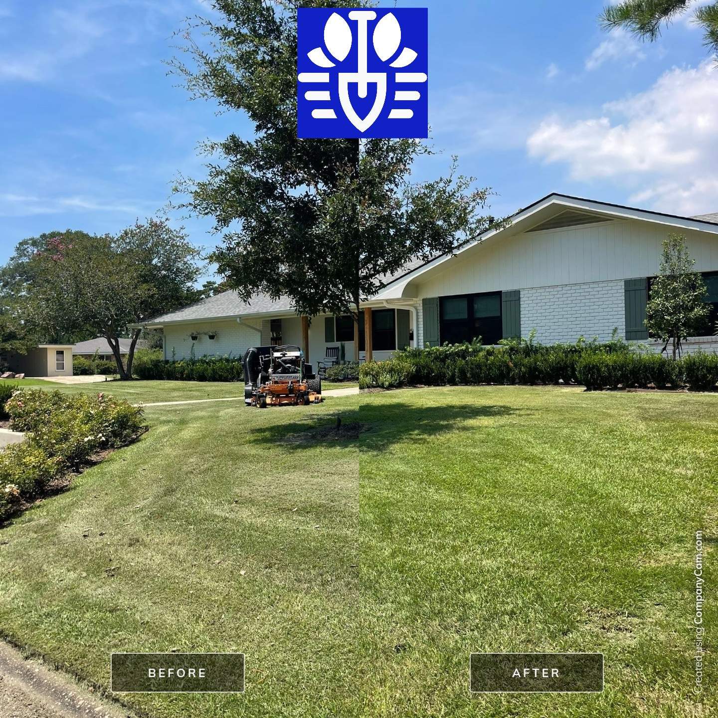 RESIDENTIAL LAWN MAINTENANCE: *OPTIONAL* VAC & BAG GRASS CLIPPINGS AND DEBRIS WITH SCAG GRASS CATCHERBAGGING GRASS CLIPPINGS AND DEBRIS WITH SCAG GRASS CATCHER by CutScape, LLC.