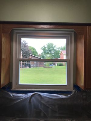 Siding, Windows, Exterior Trim