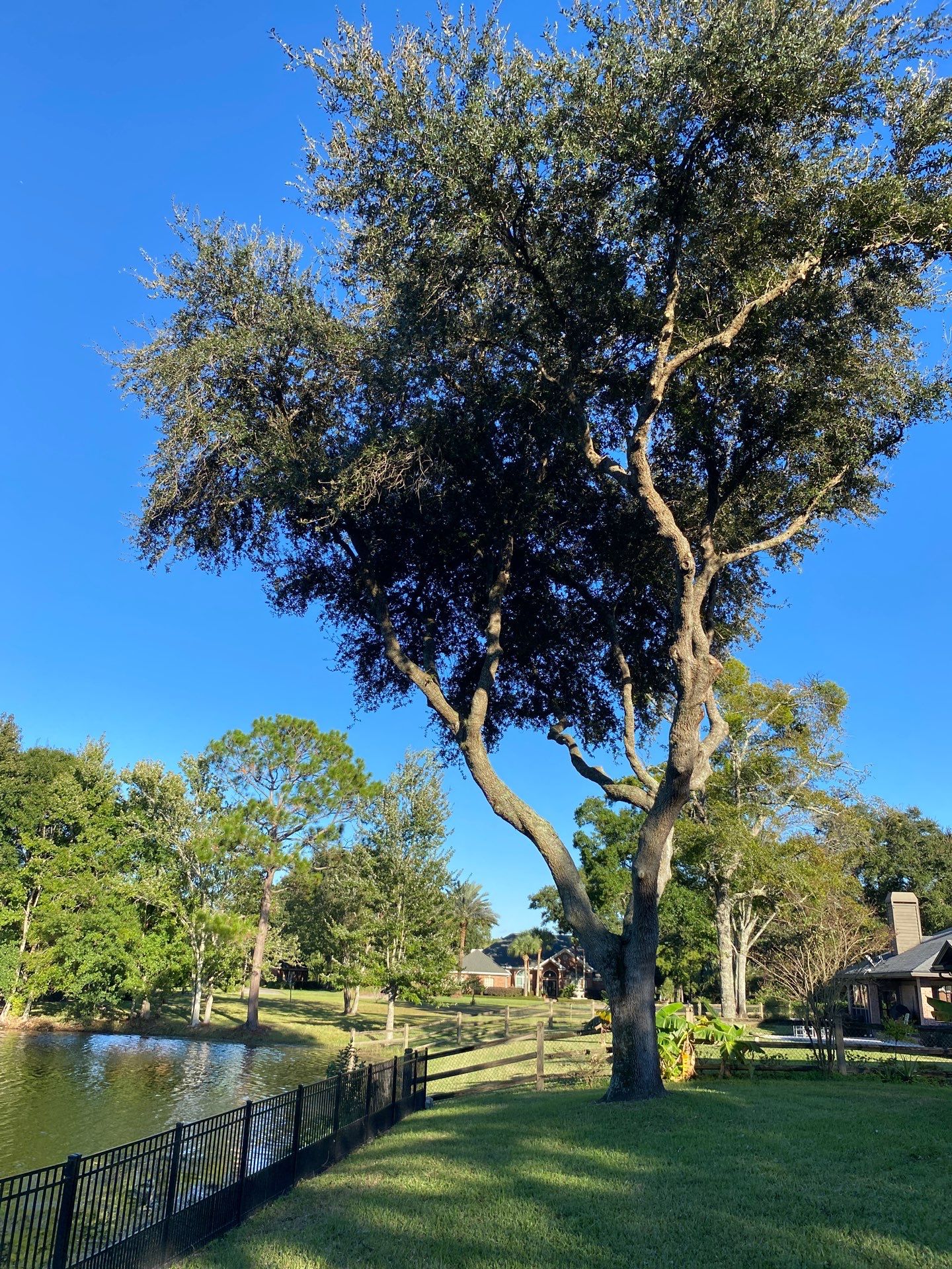 Deerwood | Tree Trimming & Sod Install | Residential by ProGreen Services