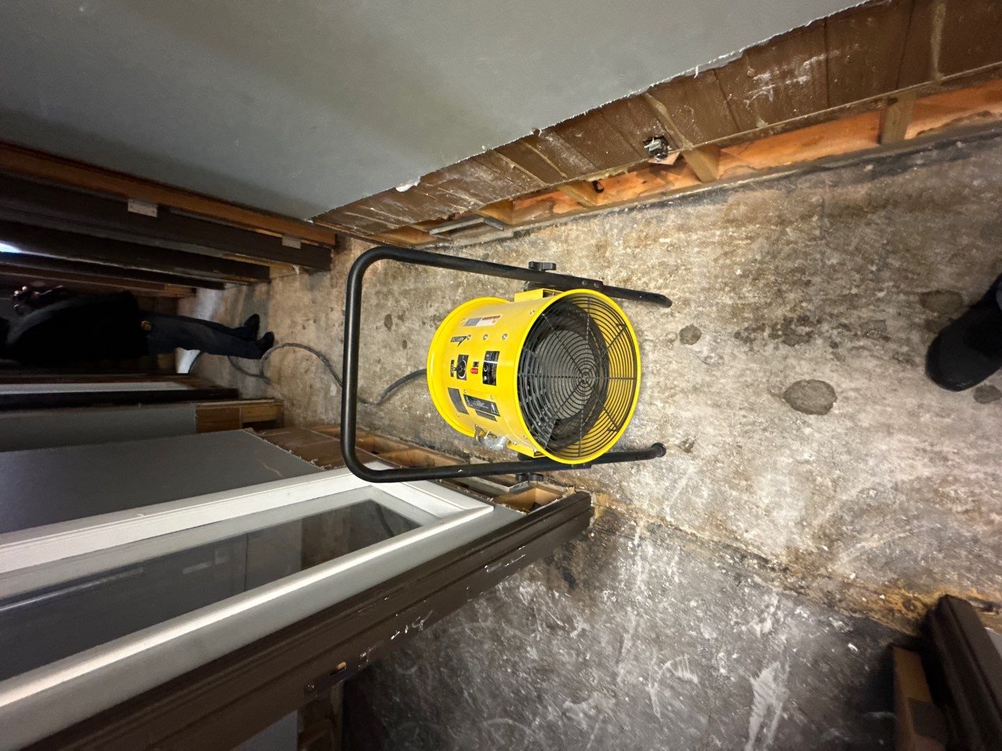 Project in Royal Oak by EzDry Water Mitigation & Property Restoration