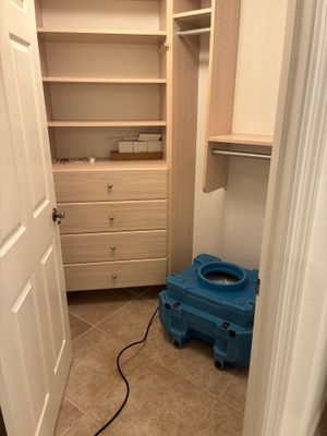 Mold Remediation — Naples, FL