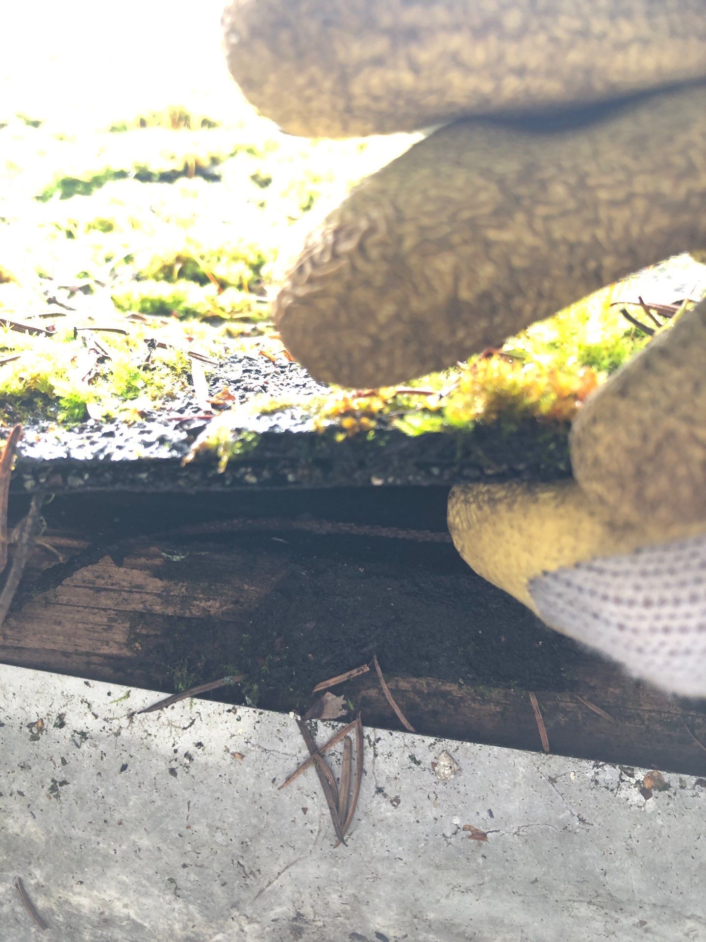 Project in Seattle by Connolly Construction Company