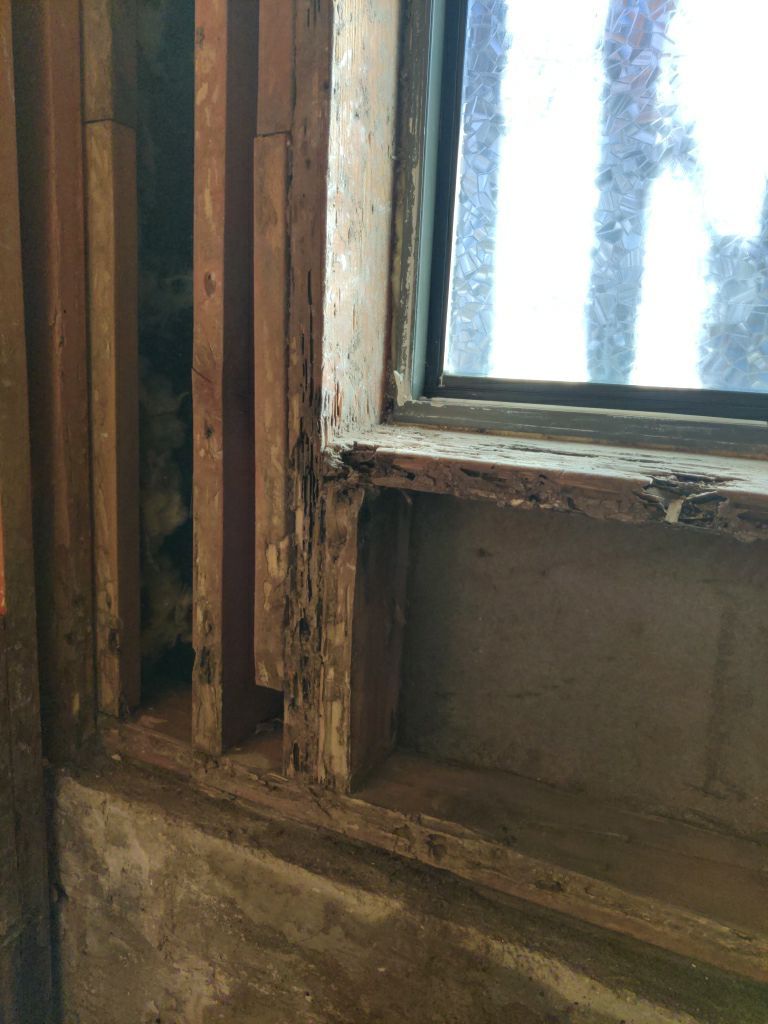Mold Remediation in Bathroom by Accountable Home Services