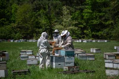 Splits in East Texas
