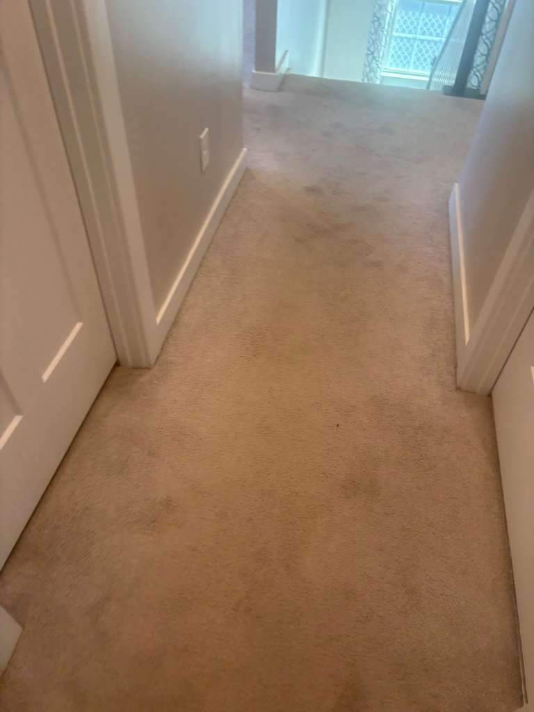 Project 41 by FMP Flooring