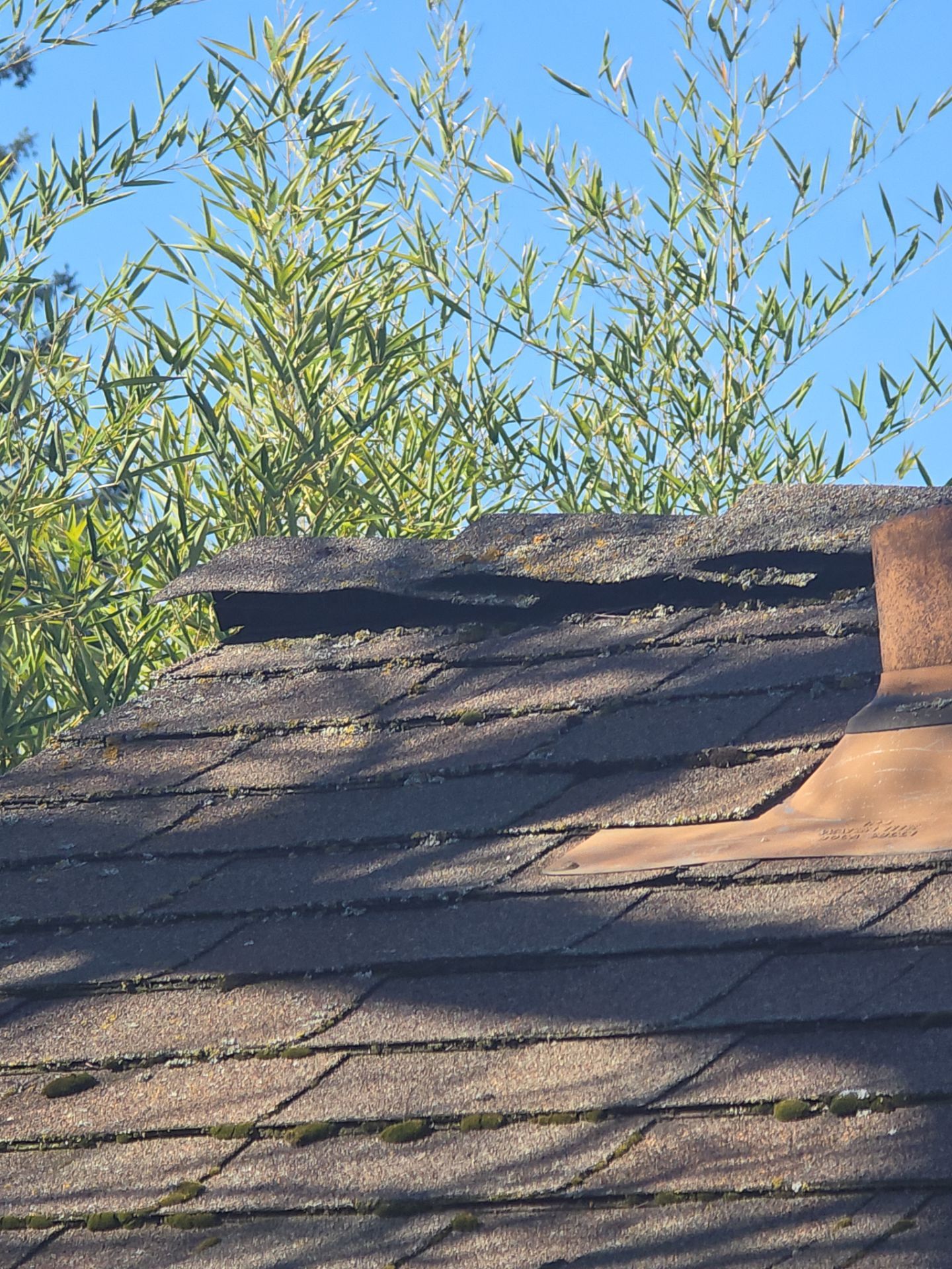 Roof Rejuvenation using Roof Maxx Treatment by Roof Maxx of Folsom