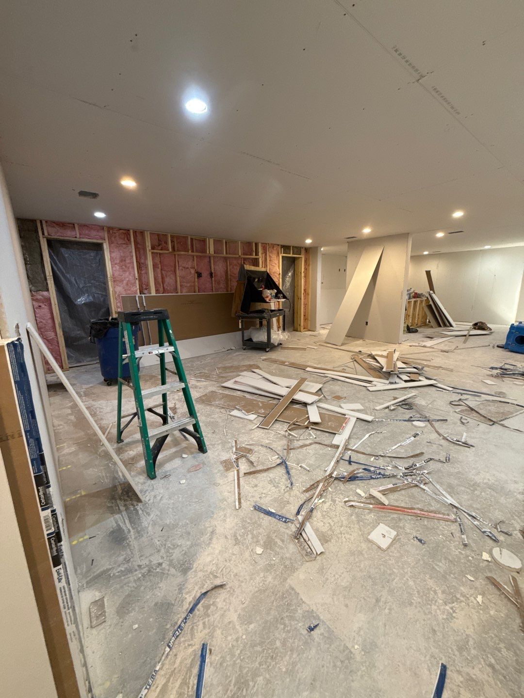 Basement Finishing Project with Home Gym and Sauna in Prospect by Authentic Carpentry
