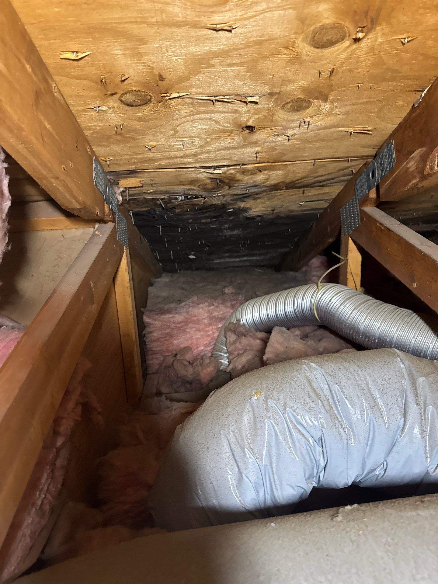 Water Damage Claim in Jackson by FLAPA & KeyStone