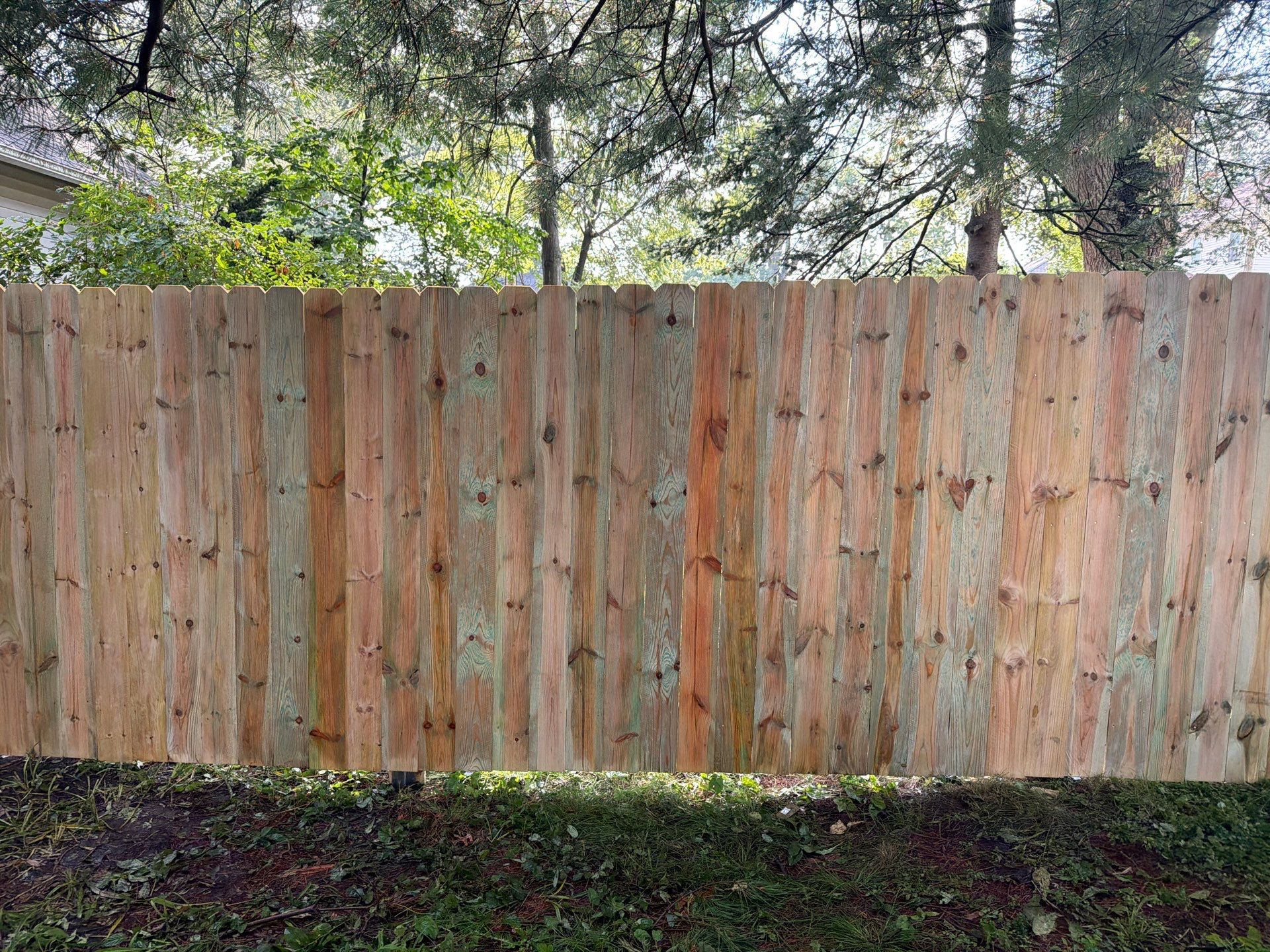 Pressure-Treated Pine Privacy Fence Installation in Cedar Falls by Perfect Picket Fence and Stain