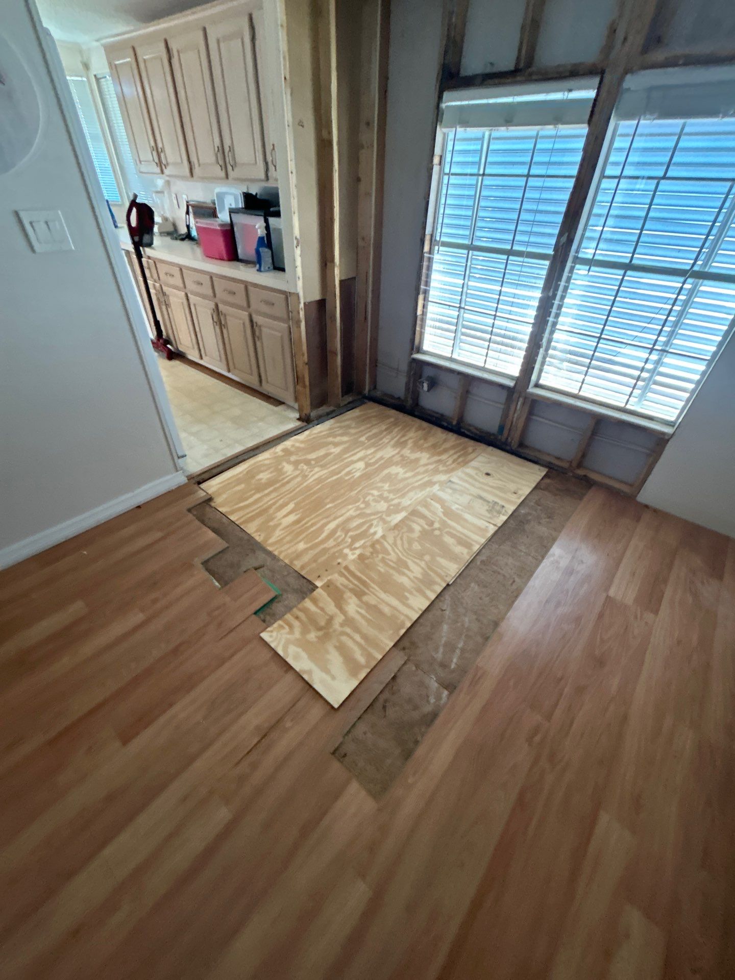 Mold Remediation Palmetto by Ampm Restoration Services 