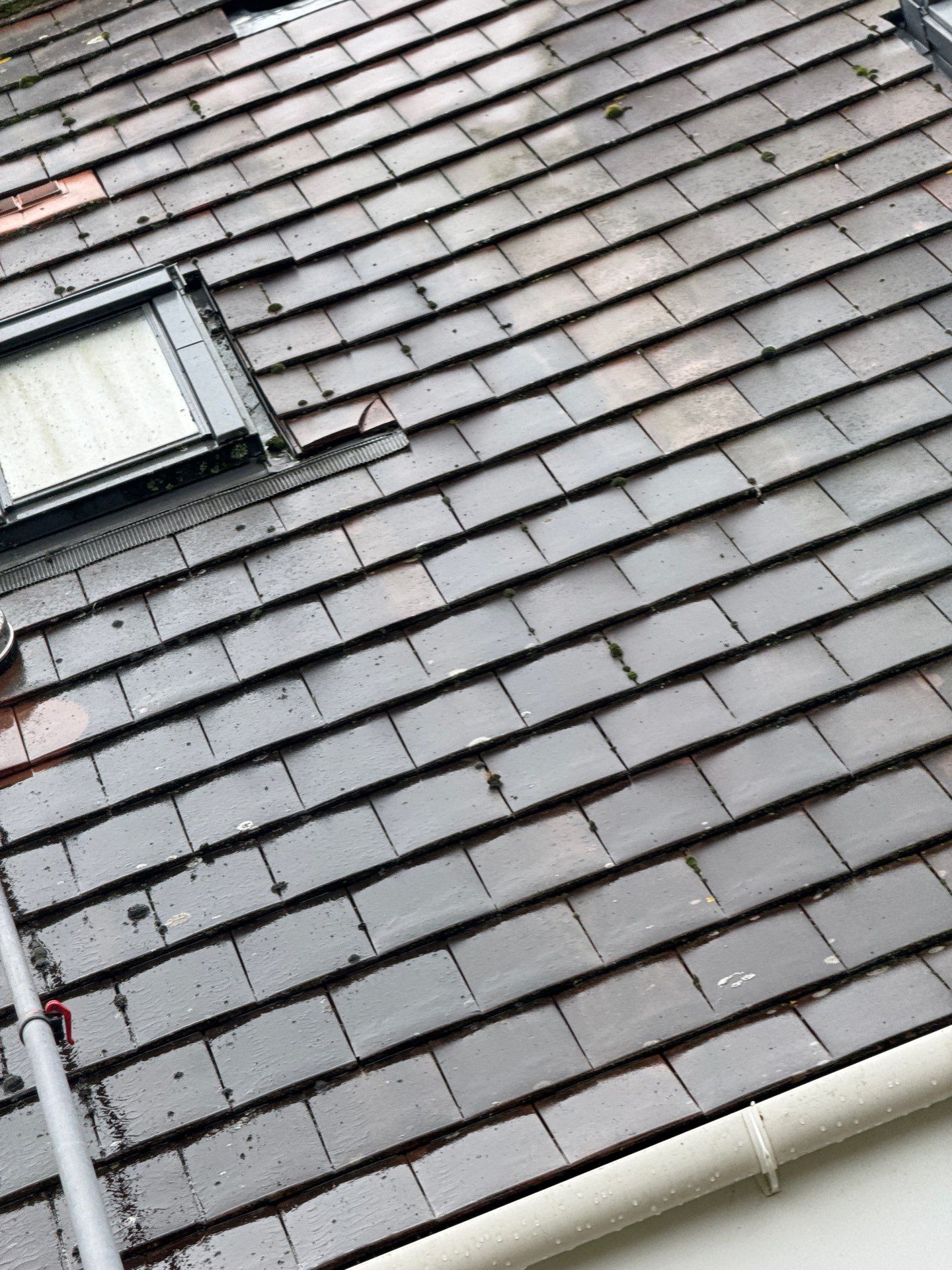 Large Care Home Roof Clean using Mosmatic FSC and Biocide by Ges Exterior Cleaning ltd