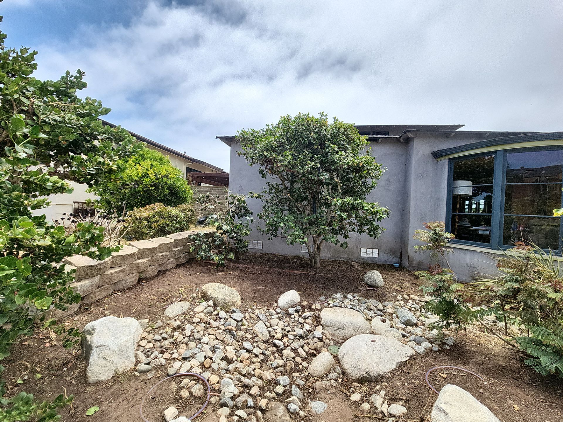 San Diego Landscape Clean Up by Yard Techs