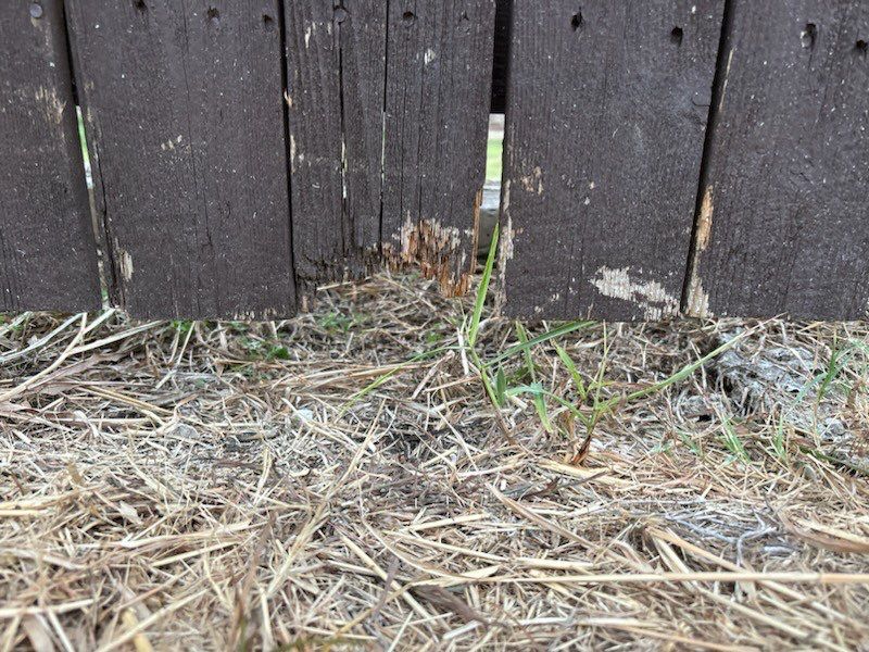 Project in Prosper by NIMBUS GENERAL CONTRACTORS, LLC