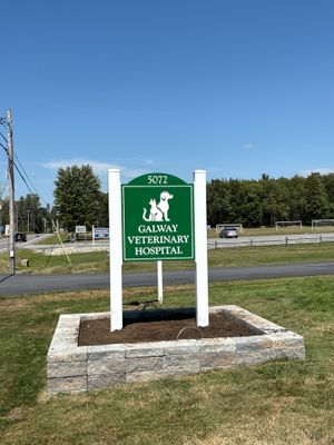 Galway Veterinary Hospital Monument Sign Installation