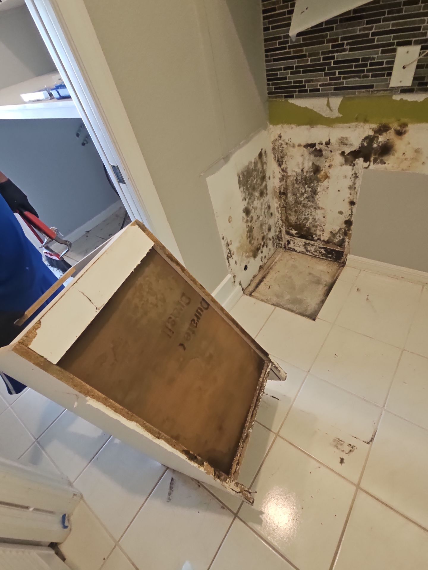 Mold Remediation by Ampm Restoration Services