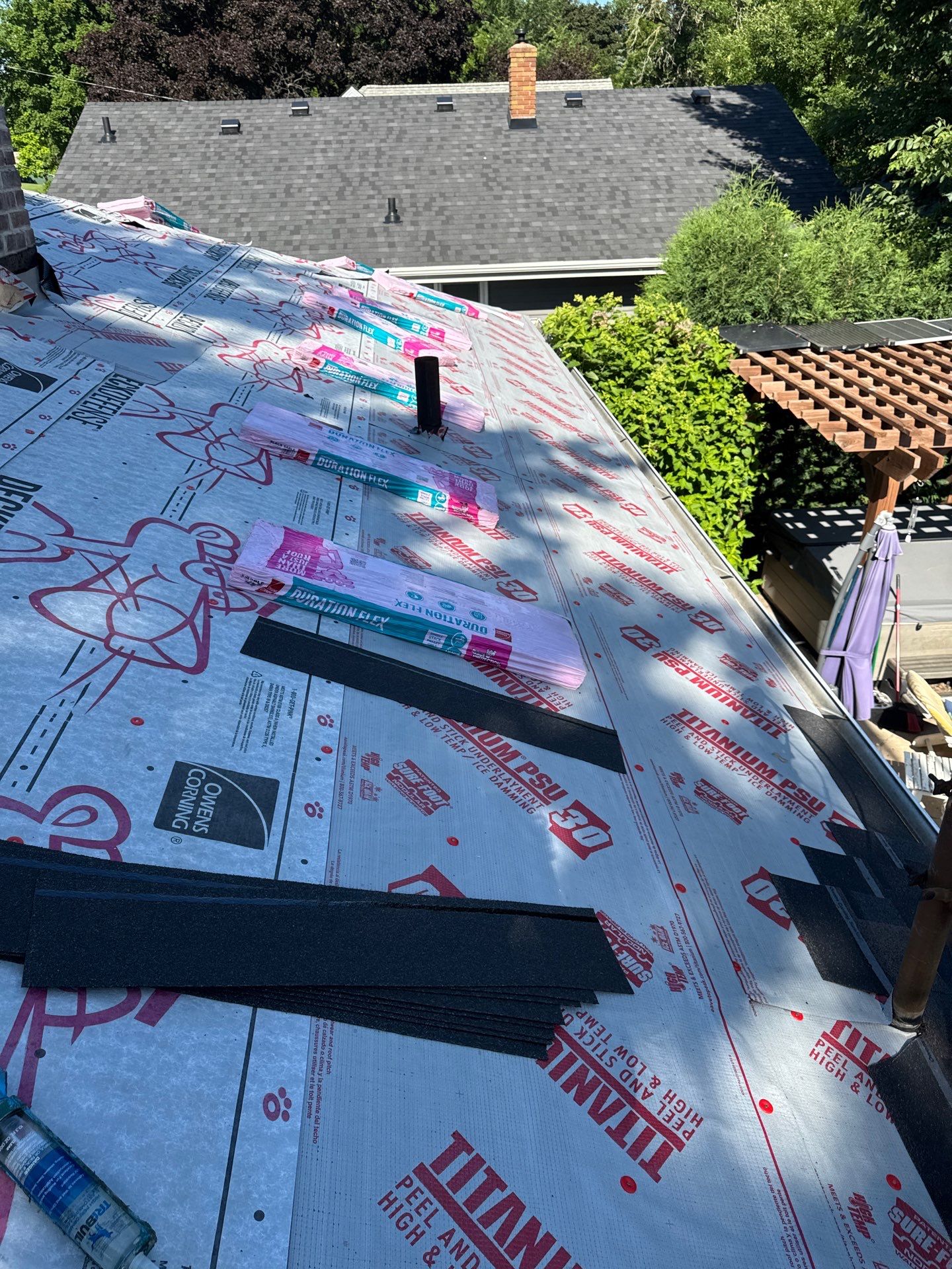 OC FLEX - BLACK SABLE by Forever Fortified