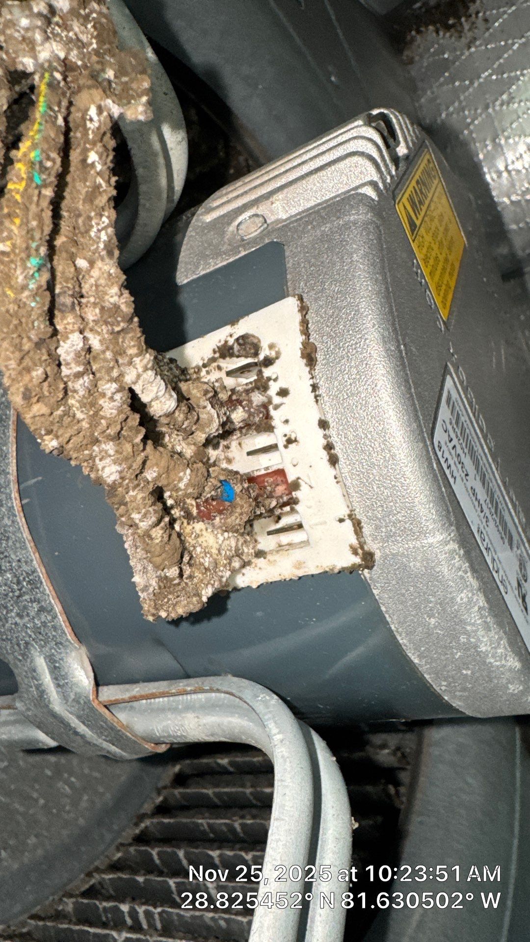 Air Duct Cleaning in Mount Dora by Hygienic Air, Inc