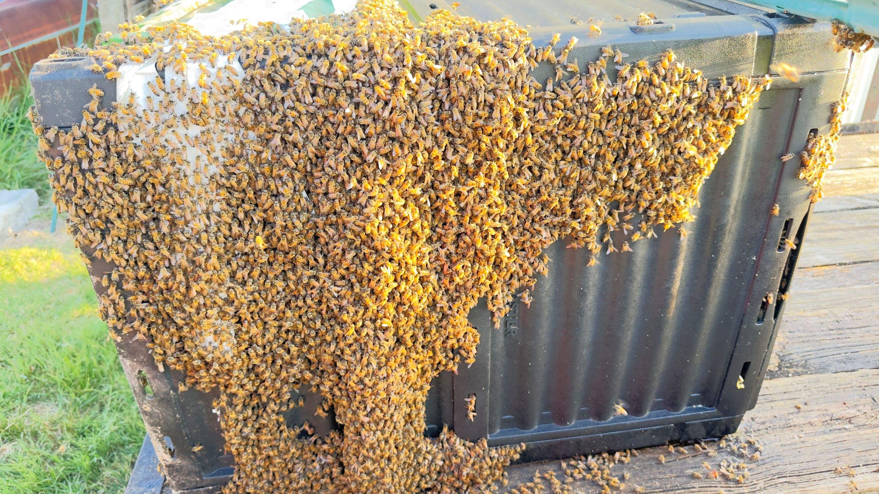 Composter by Rockwall Honey Bee Company