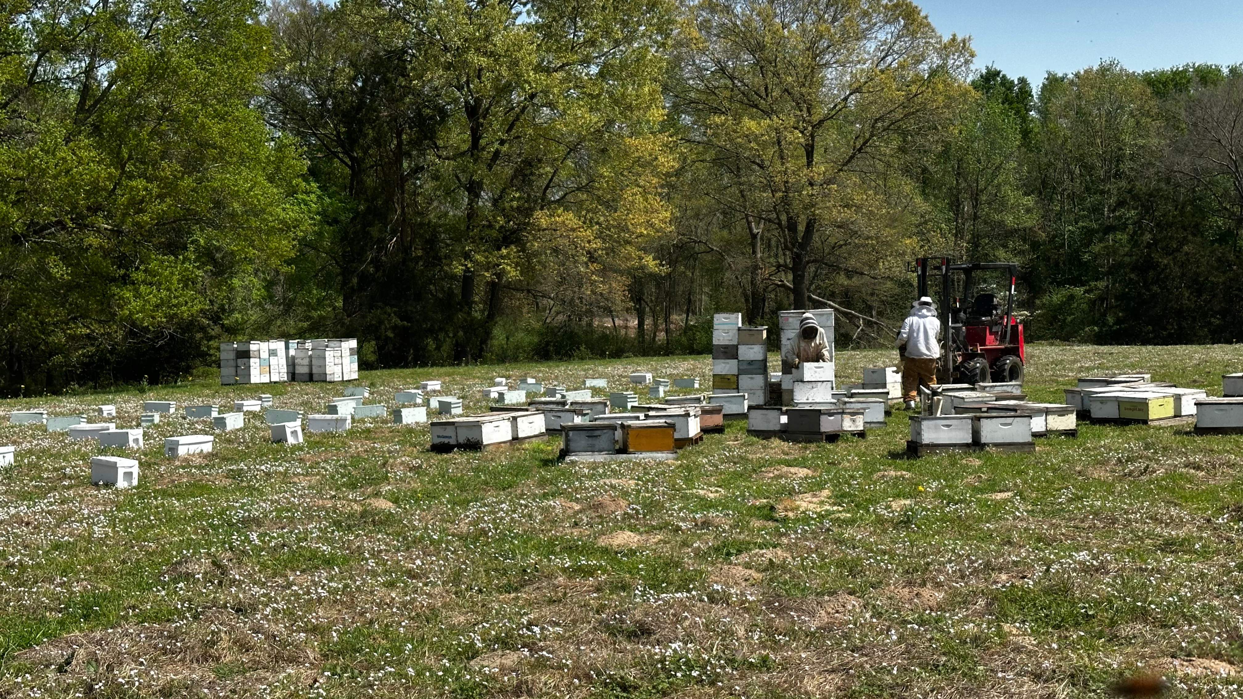 Traylor's Hay Meadow Apiary by Rockwall Honey Bee Company