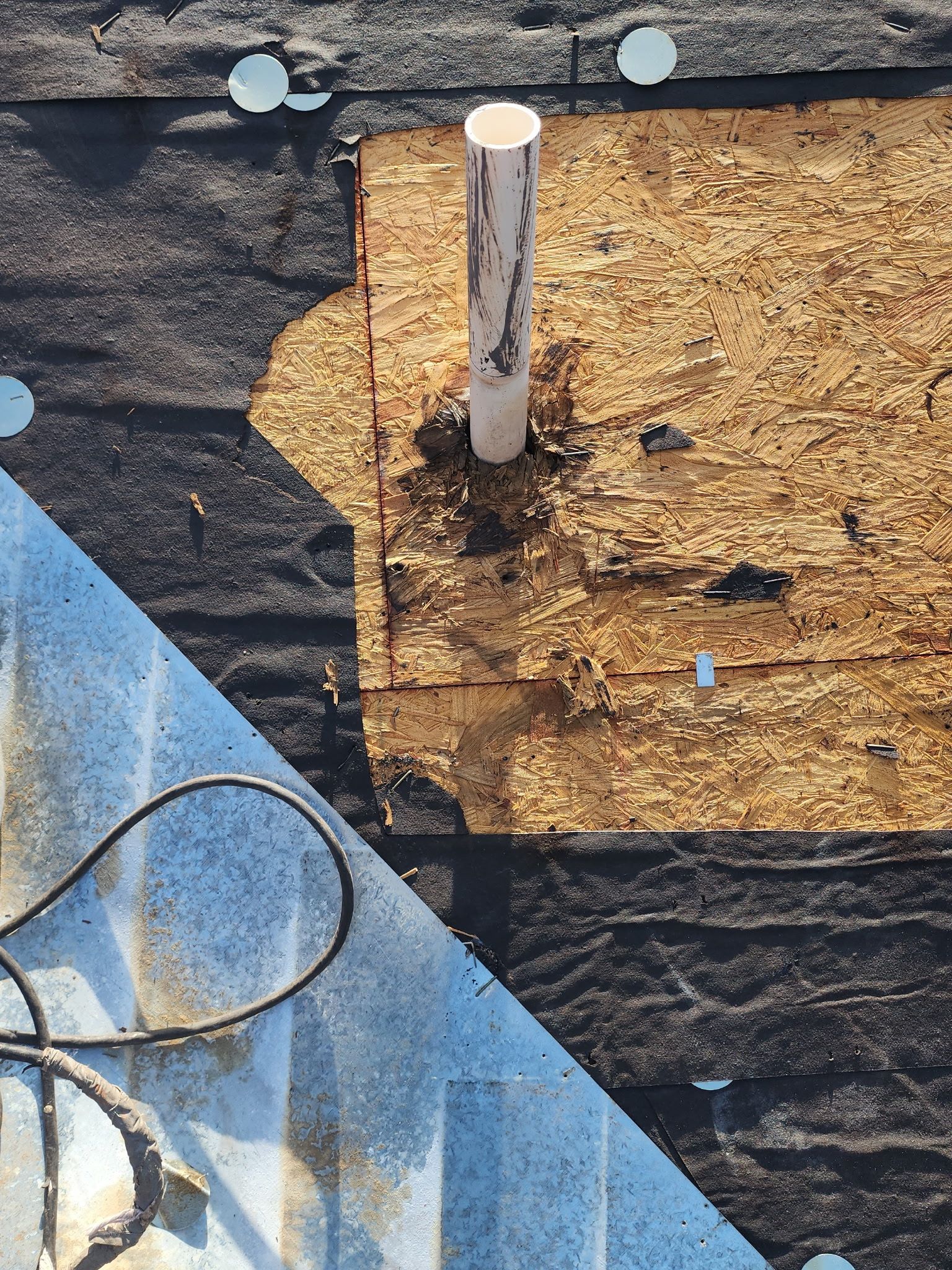 Miss Bridgette by REPS Austin Area Roofer