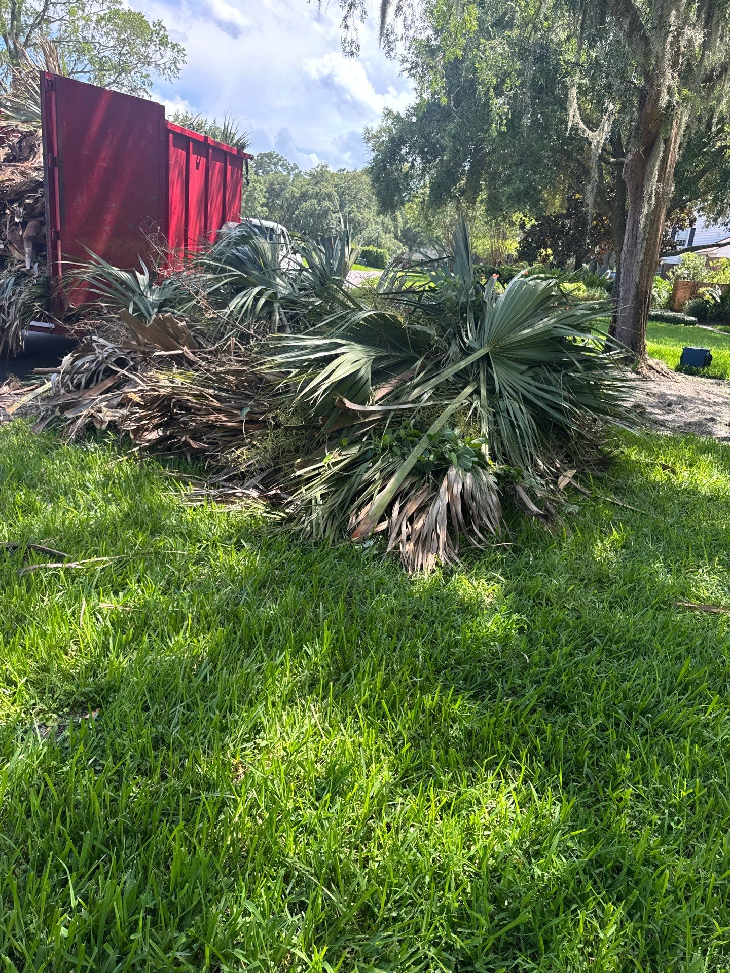 Deerwood Resident | Palm Tree Trimming & Booting by ProGreen Services