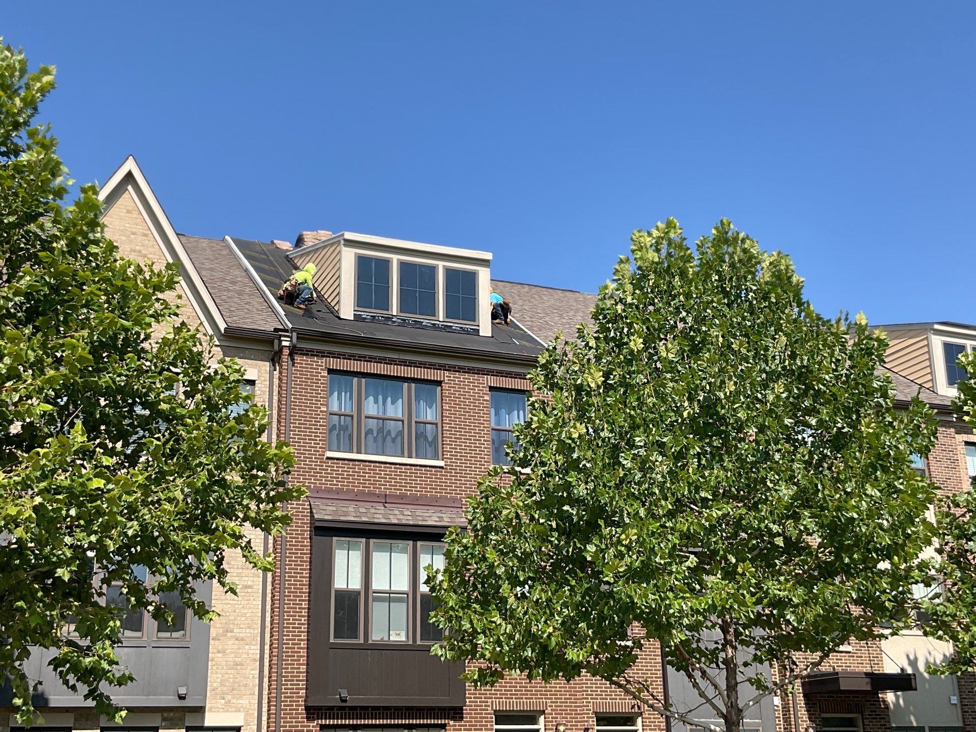 New Shingle Roof Installation  by Alpha Design Services