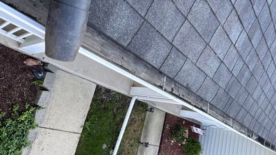 Turtle Shell gutter protection installation in Naperville, IL 60565, photograph 15