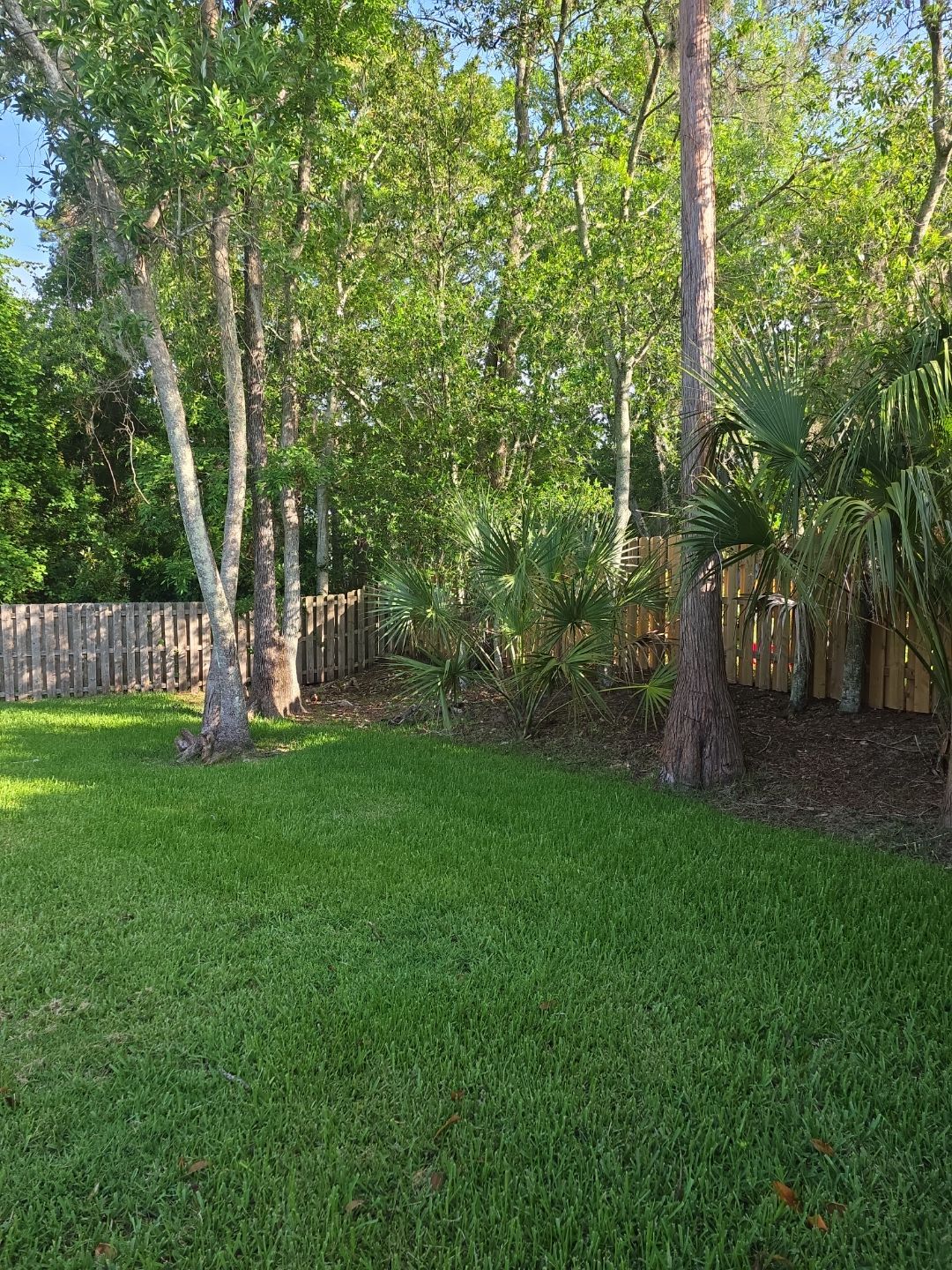 Deerwood Resident | Tree Trimming by ProGreen Services