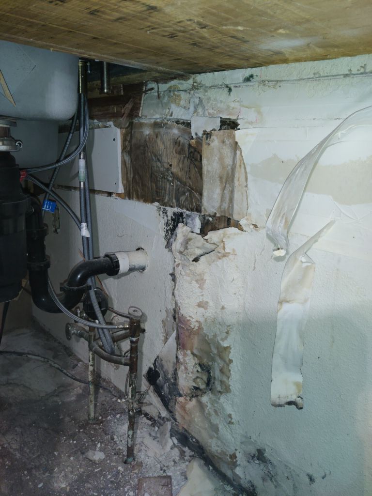 Mold Remediation using Containment by Accountable Home Services