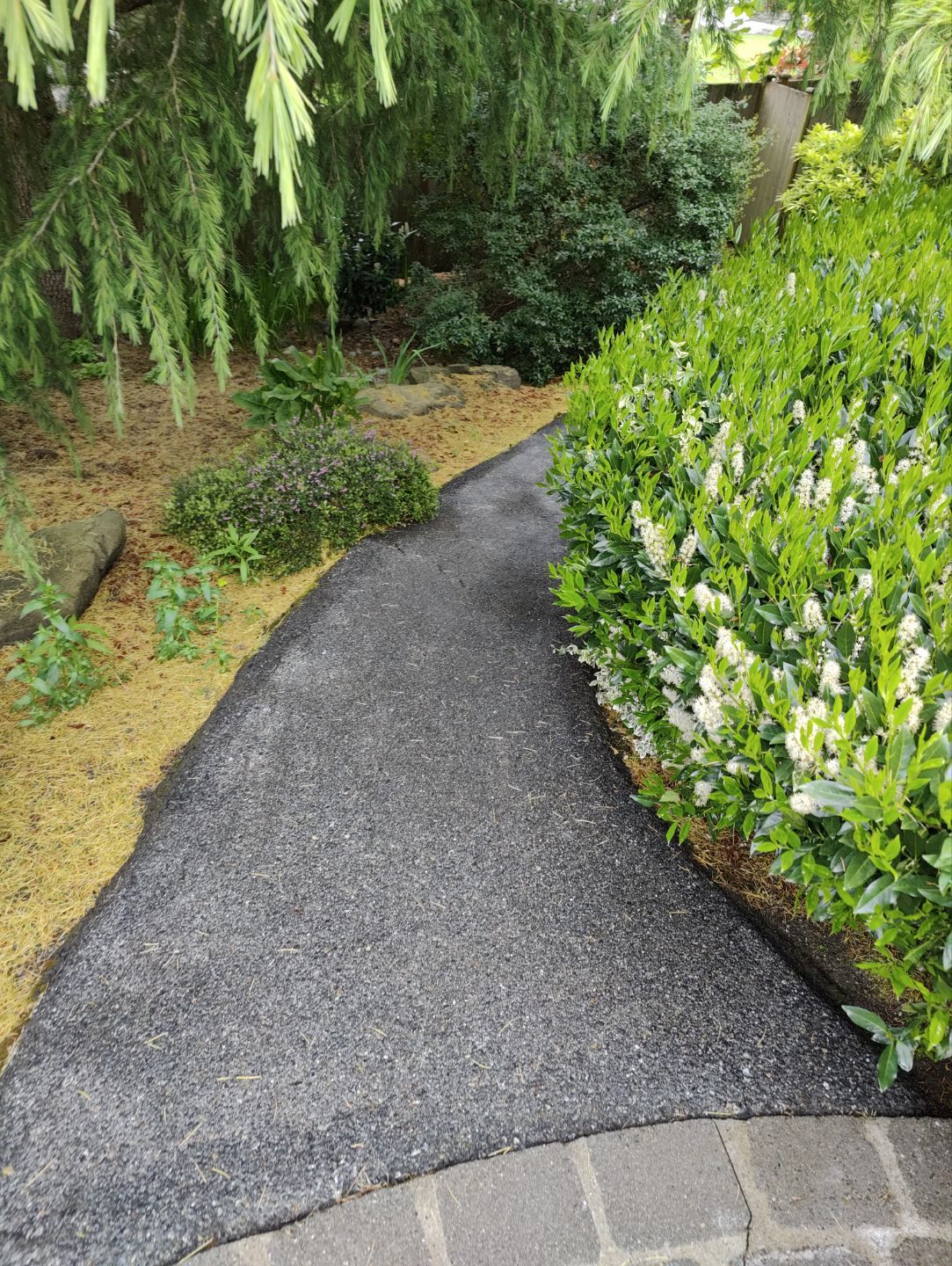 Premium Pressure Washing in Bellevue by WindowWorks