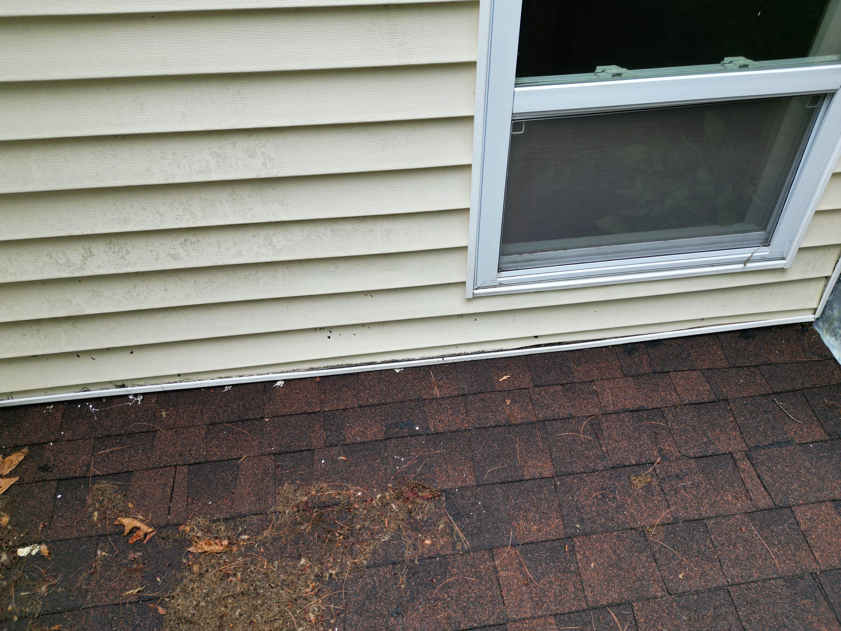 Roof, Window, and Wall Flashing Upgrade in Groton, MA by Mighty Dog Roofing of Greater Middlesex County