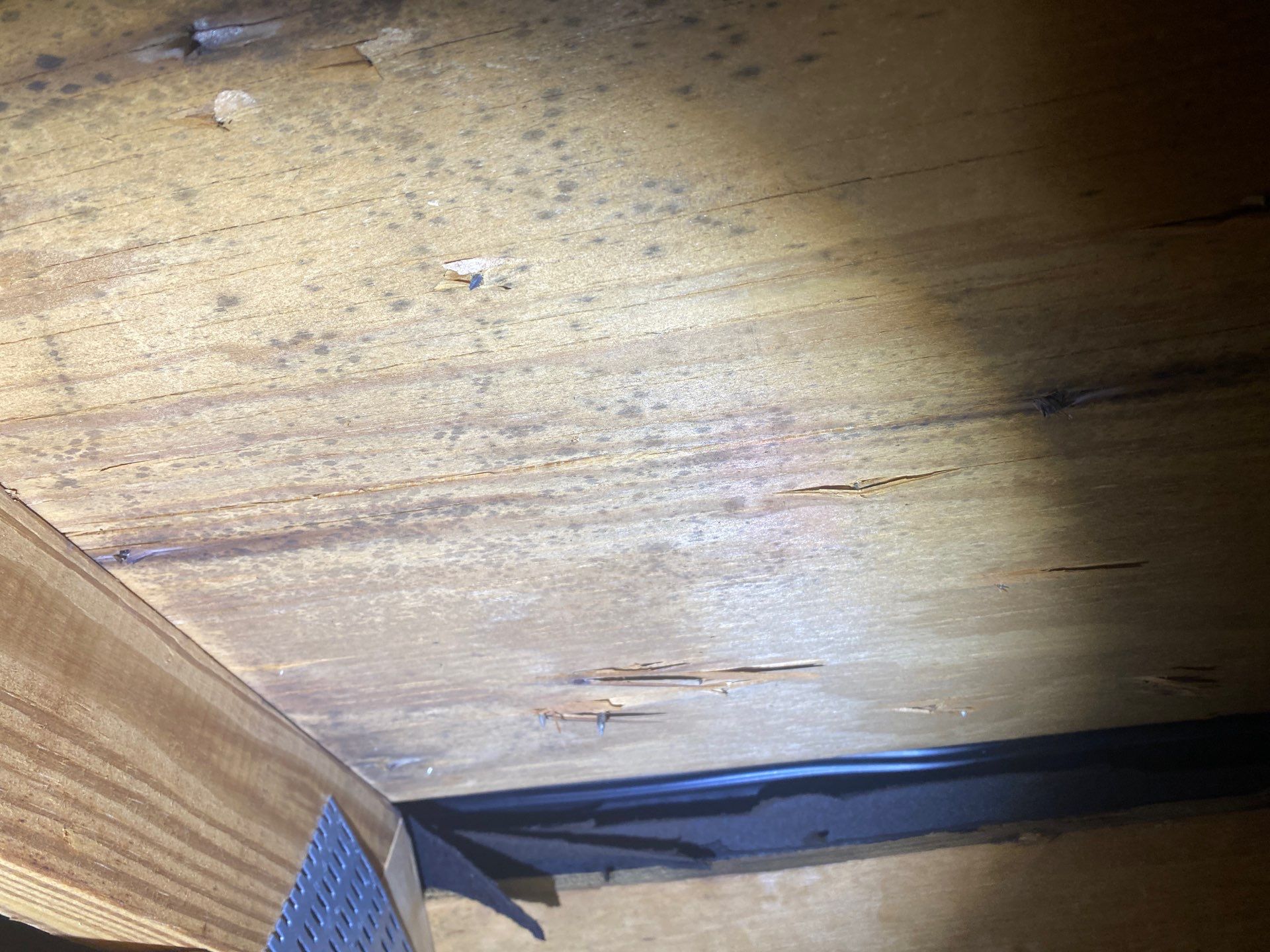 Attic mold remediation in Wheeling, WV 26003 by Home Environment Solutions