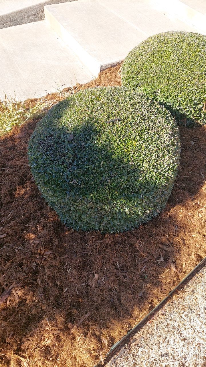 Concrete Slab , Retaining Wall , Fence, and landscape. by Clays Services Inc