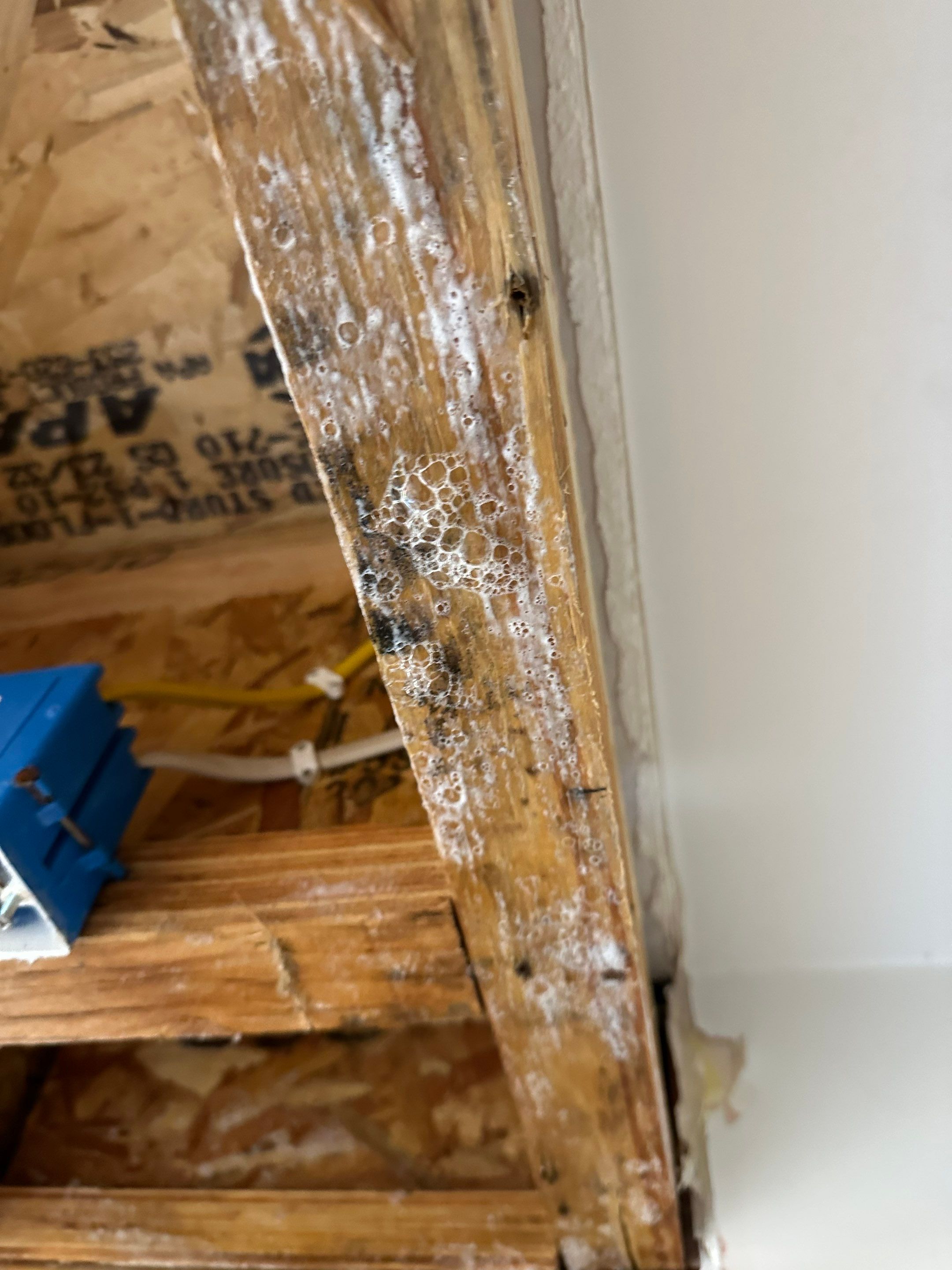 Water Damage in Denver, CO by Alpha Restoration 
