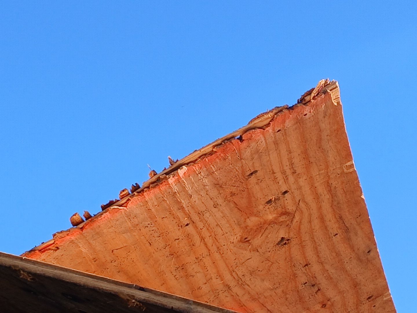 Project in St. Petersburg 33712 by Mitchell Roofing Company LLC