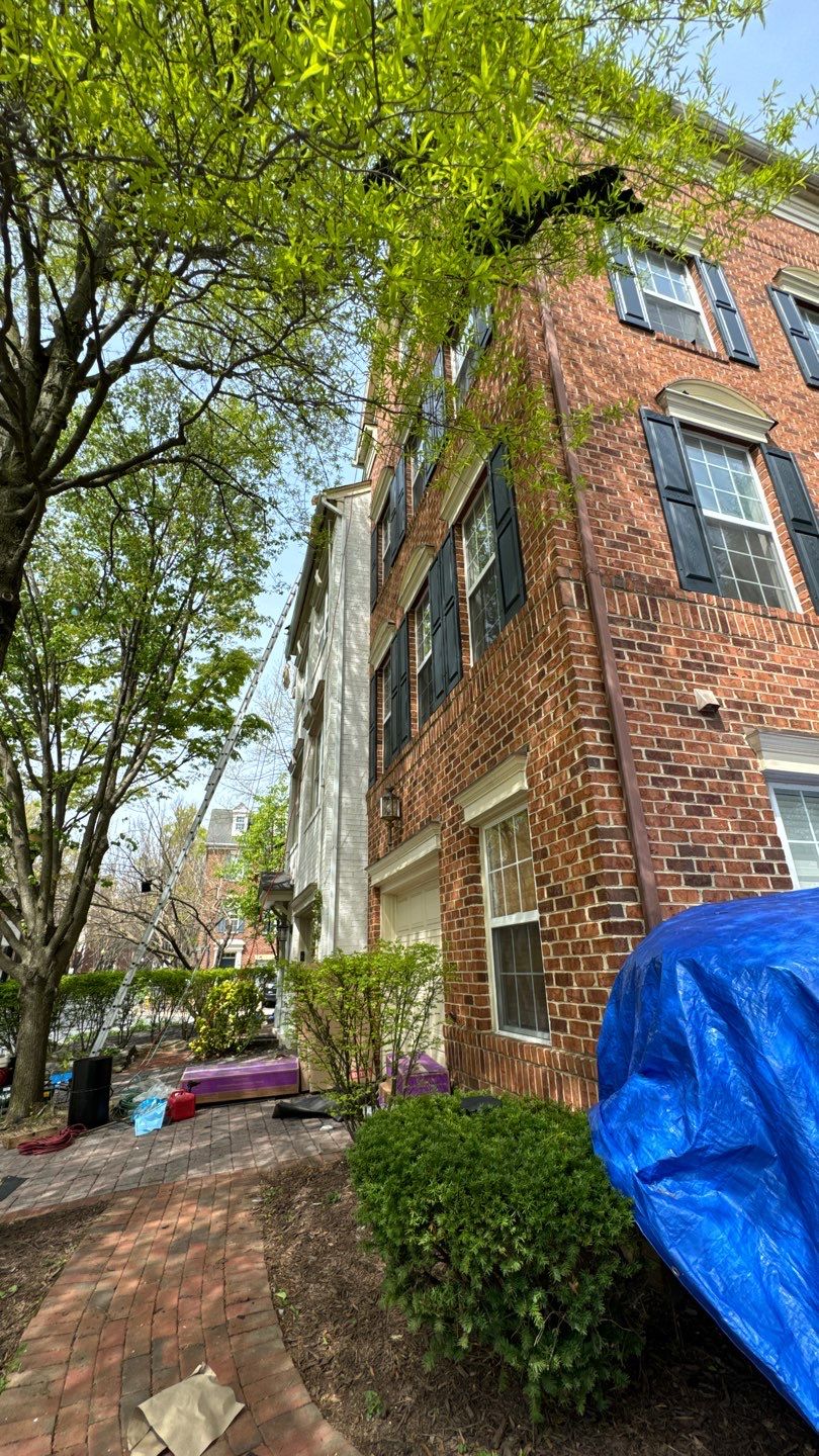 Alexandria: CertainTeed Landmark Pro Designer Shingles in Max Def Georgetown Gray by RM Banning, Inc.