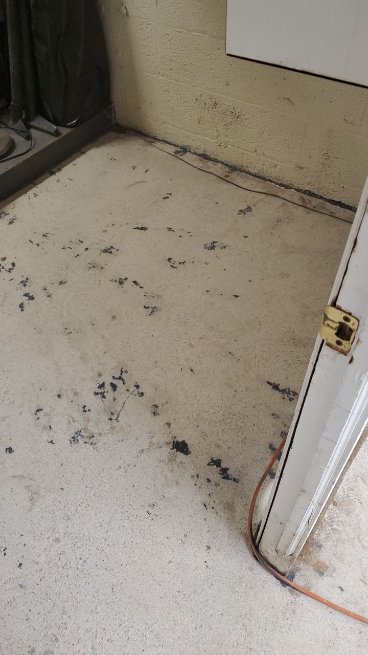 Laundry Room Floor Coating using Penntek- Silver Creek by Spectrum Painting, LLC
