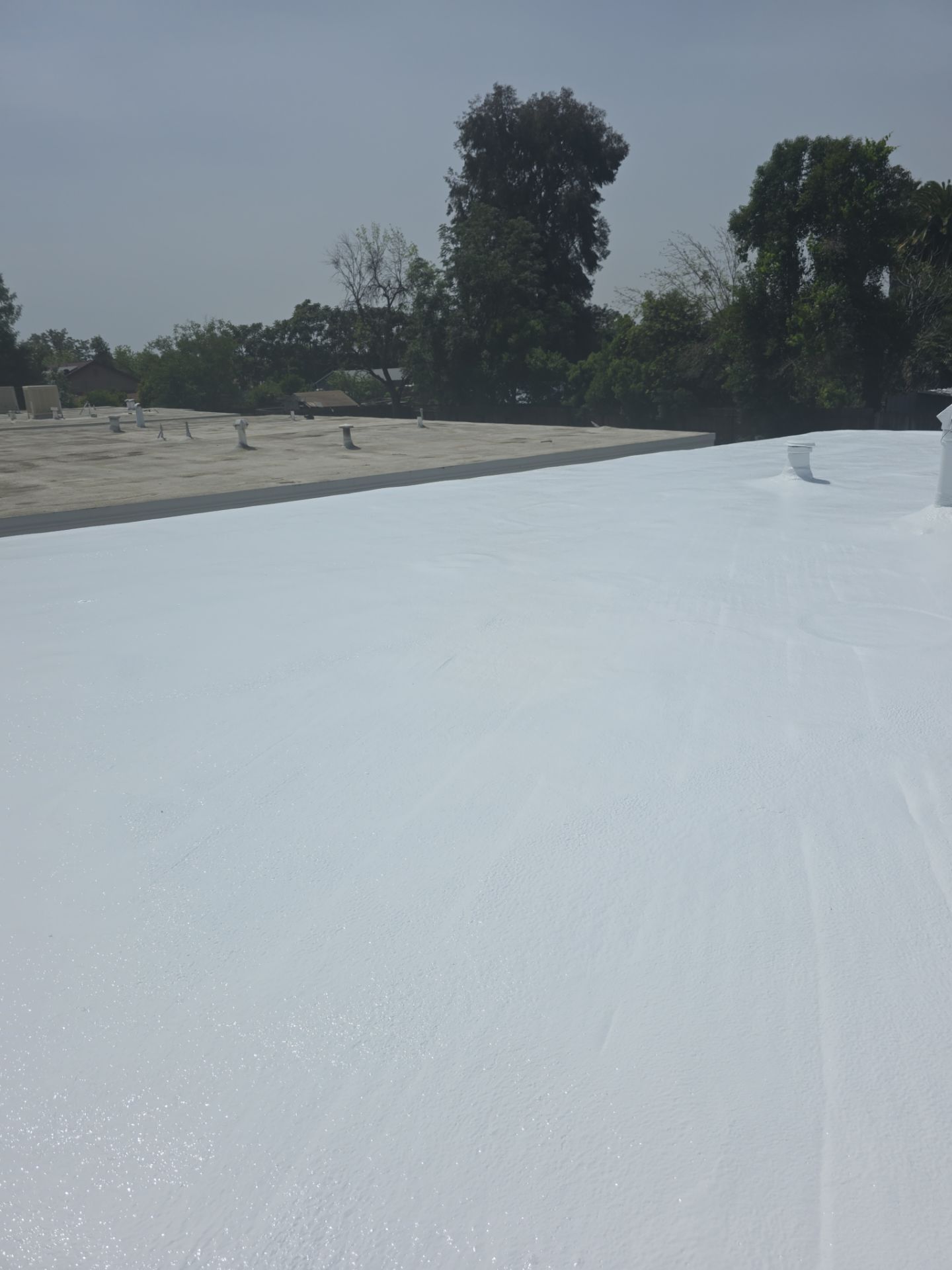 Foam Refurbish using Conklin Benchmark/PUMA XL coatings and spray foam by Straight Edge Roofing Inc