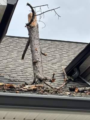 Emergency Roof Tarping ⛑️🏠