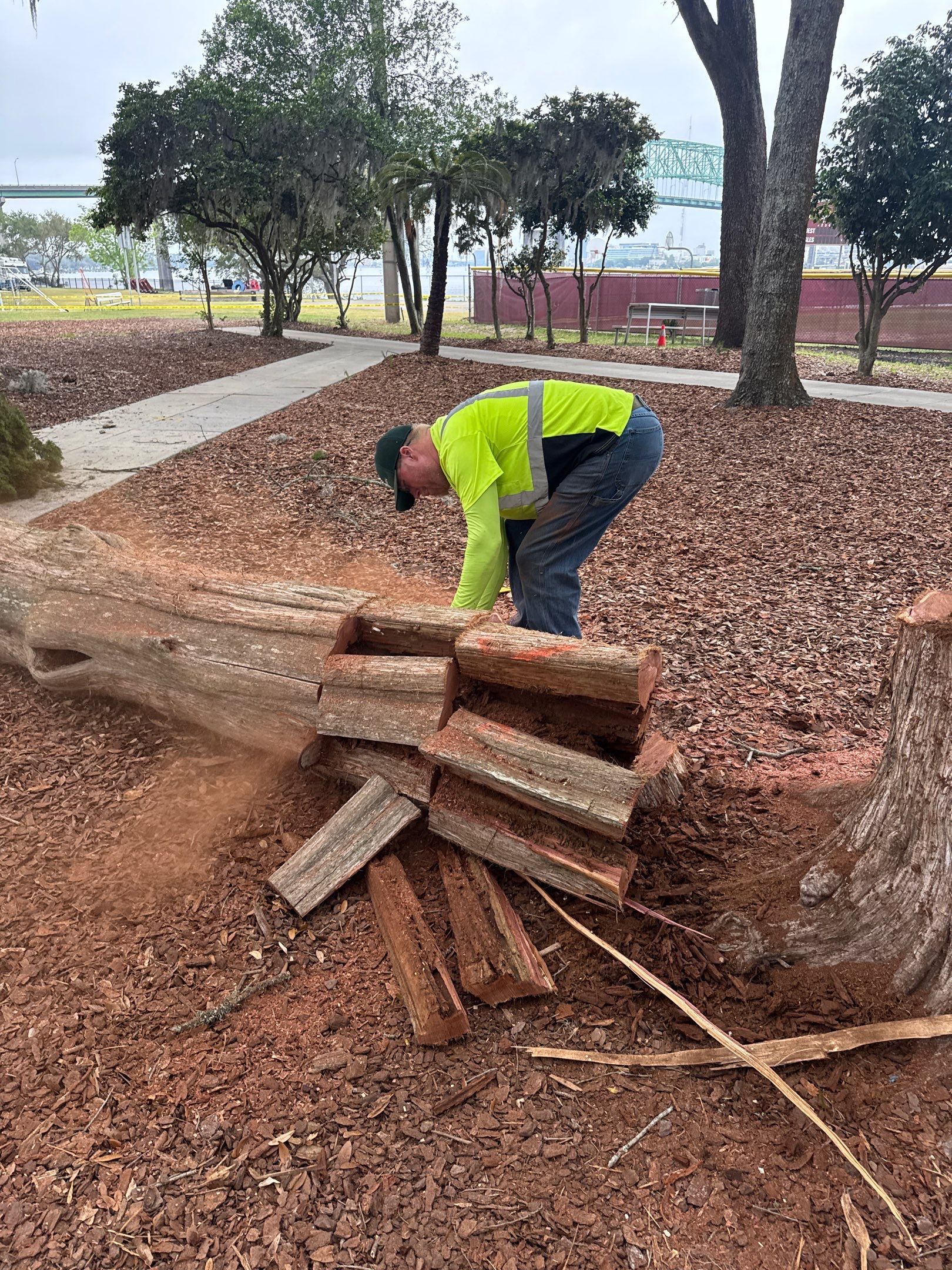 Episcopal School of Jacksonville | Tree Service by ProGreen Services