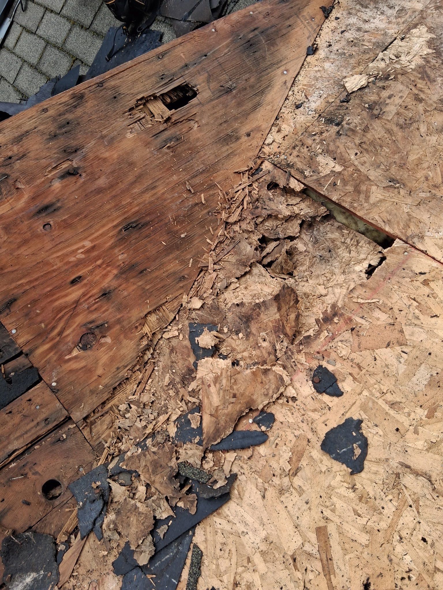 Project in Gresham by Tom Leach Roofing