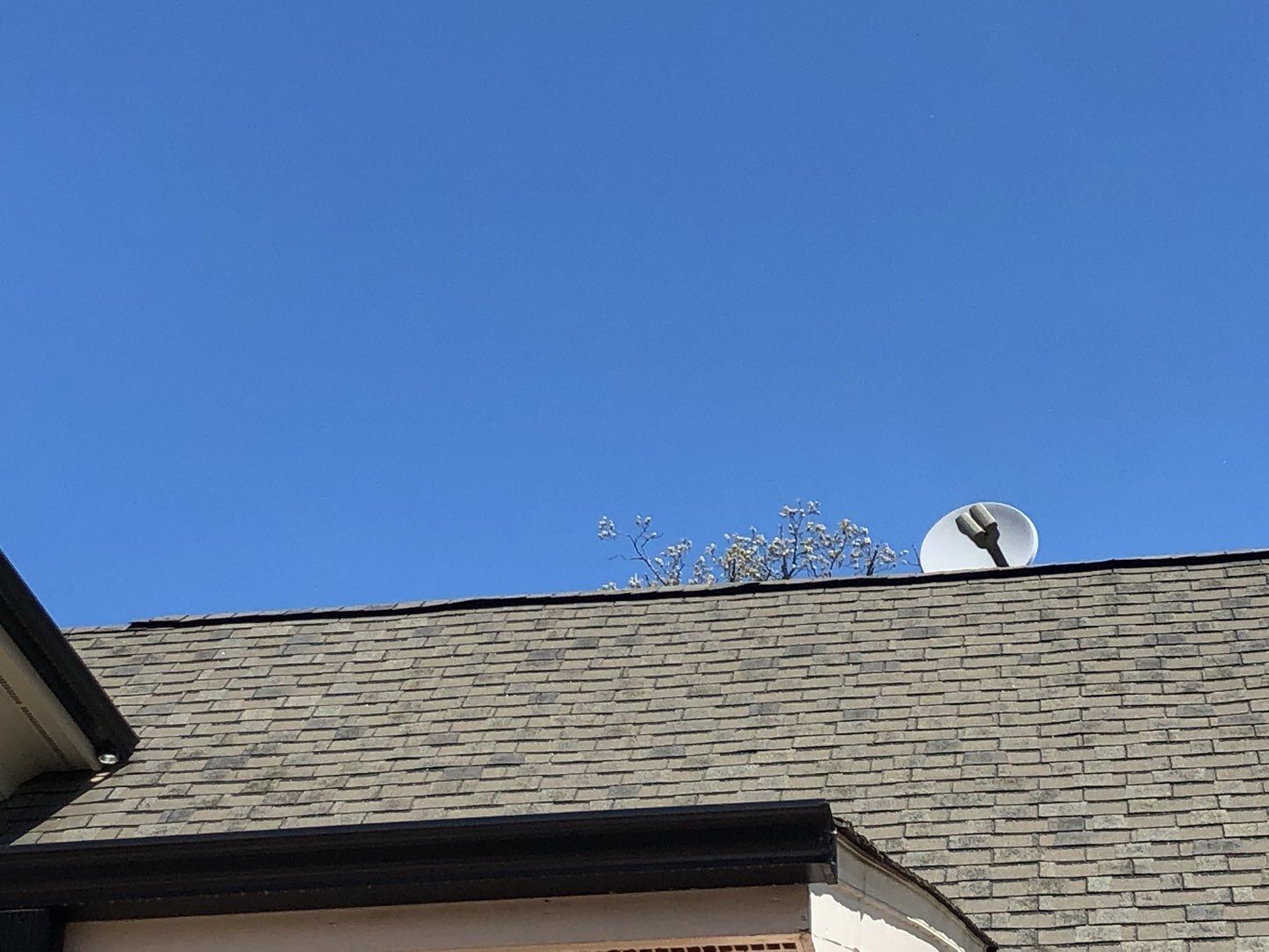 Residential Roofing Repair using Roof Repair by American Roofing NC