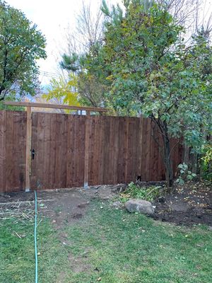 New fence