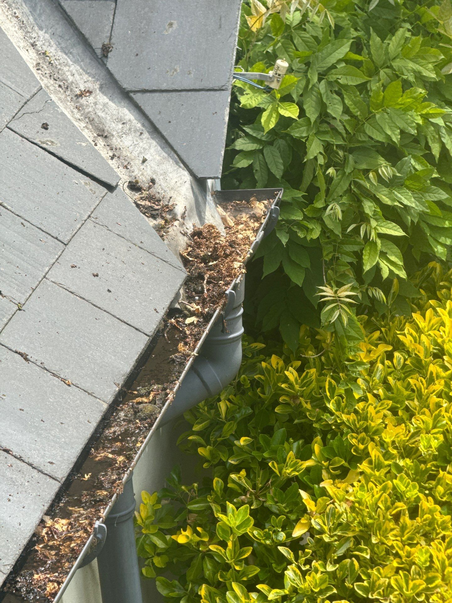 Roof and Patio Cleaning using Honda 15lpm Low Pressure Washing Machine by Ges Exterior Cleaning ltd