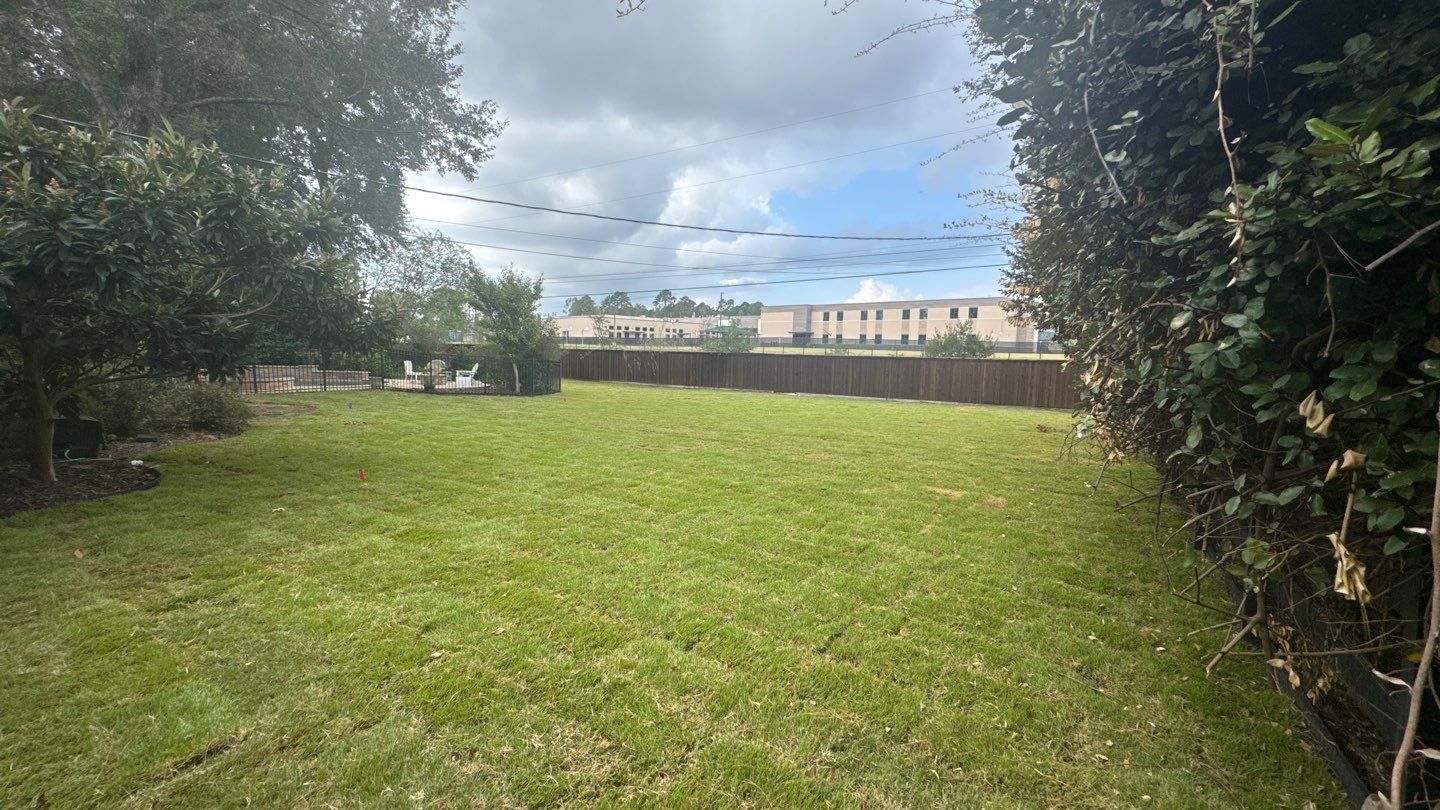 Mr. Jeff — Backyard Drainage & Grading Improvement by Texas Urban Elements