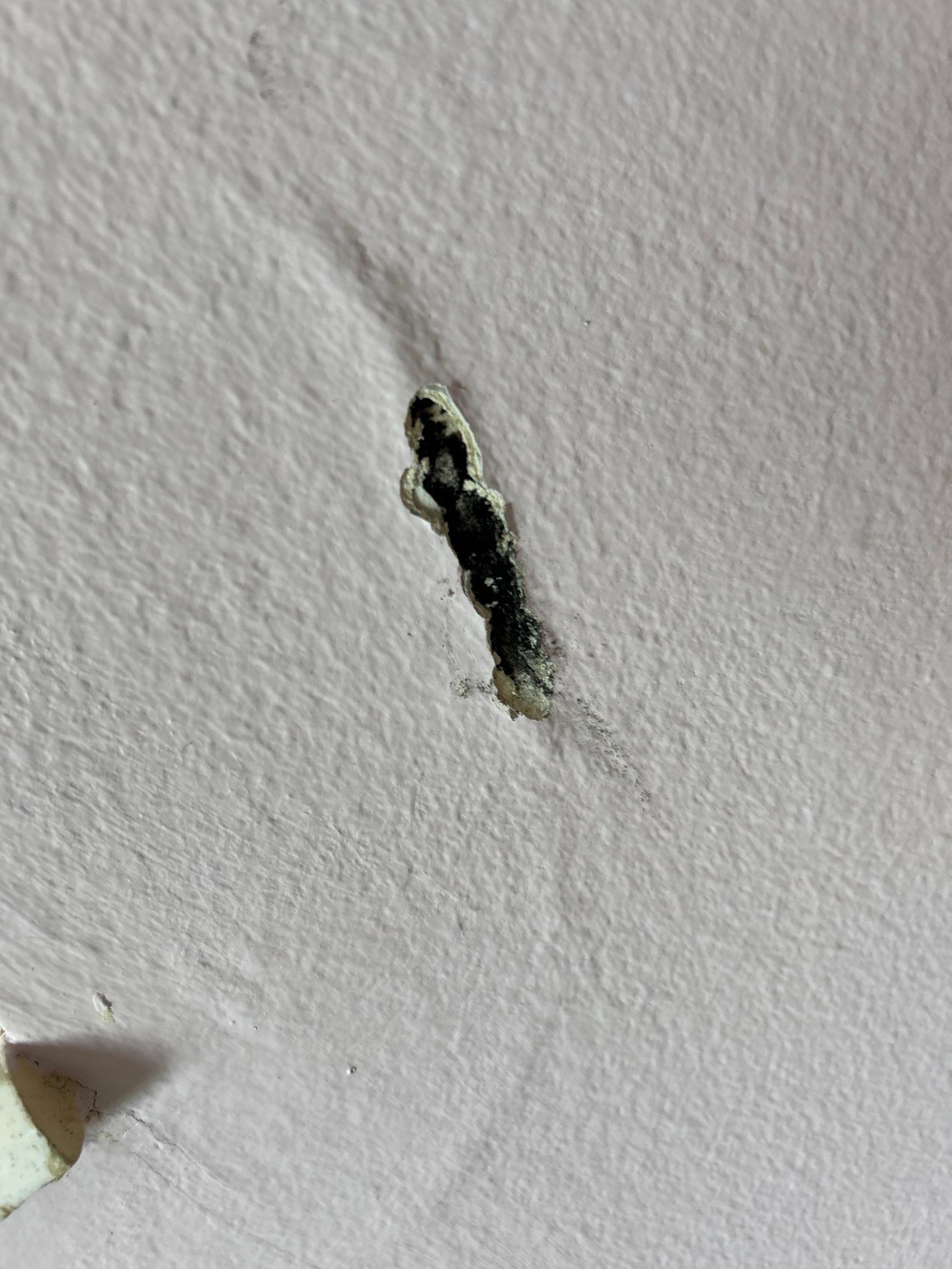 Water And Mold Restoration by Ampm Restoration Services