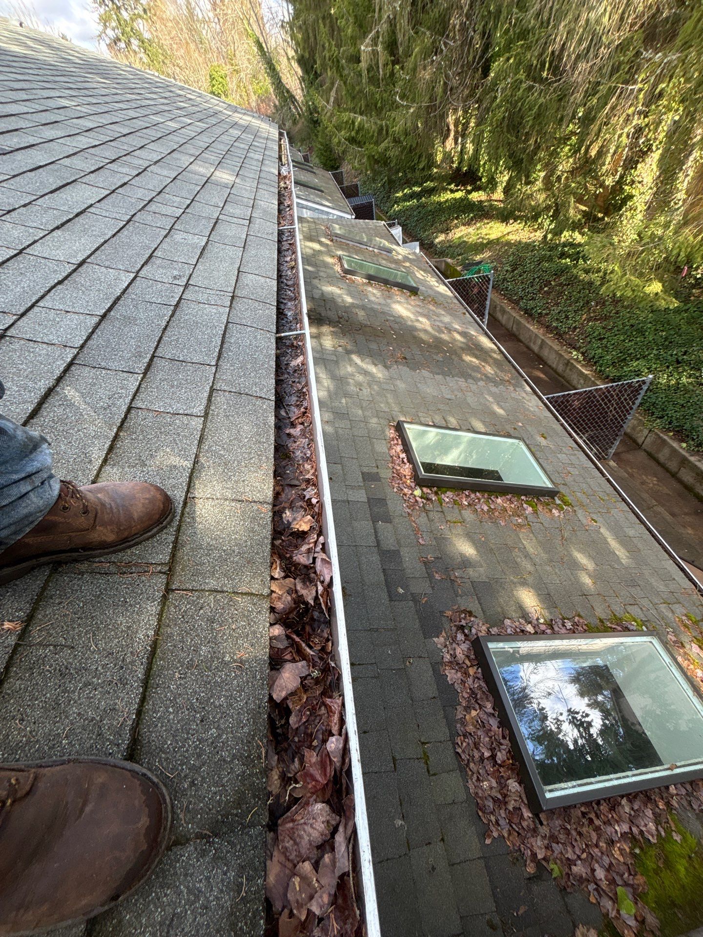 Commercial gutter cleaning Salem, OR before photo with filled gutters