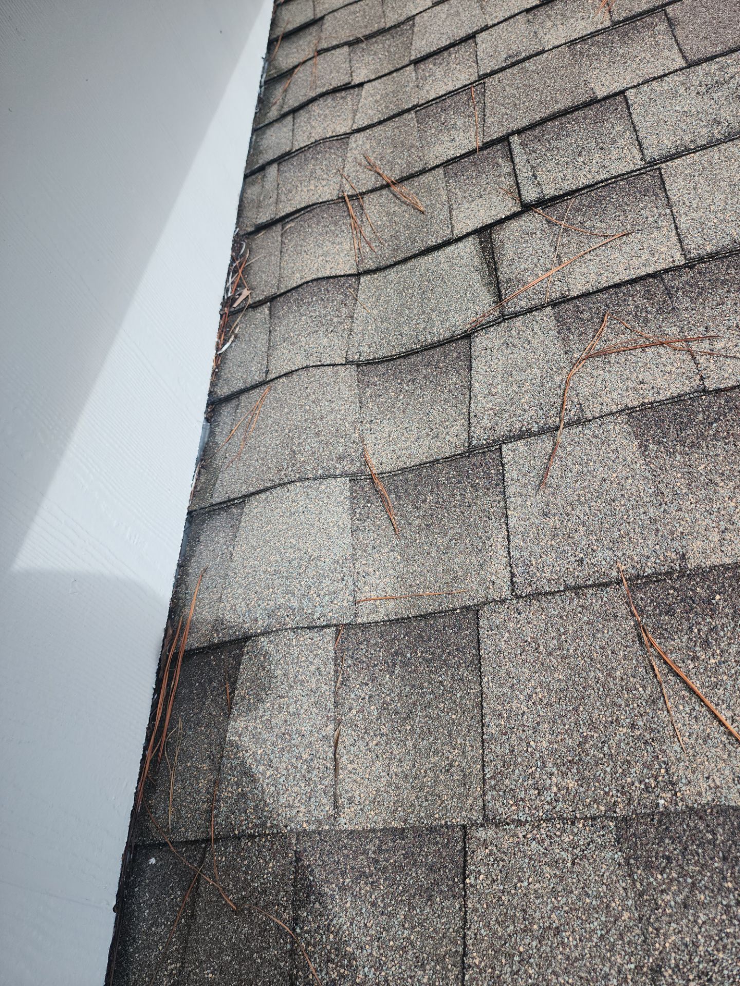 Hail Damage using Owen's Corning Duration (Lifetime) Shingles by Roof Repair Company