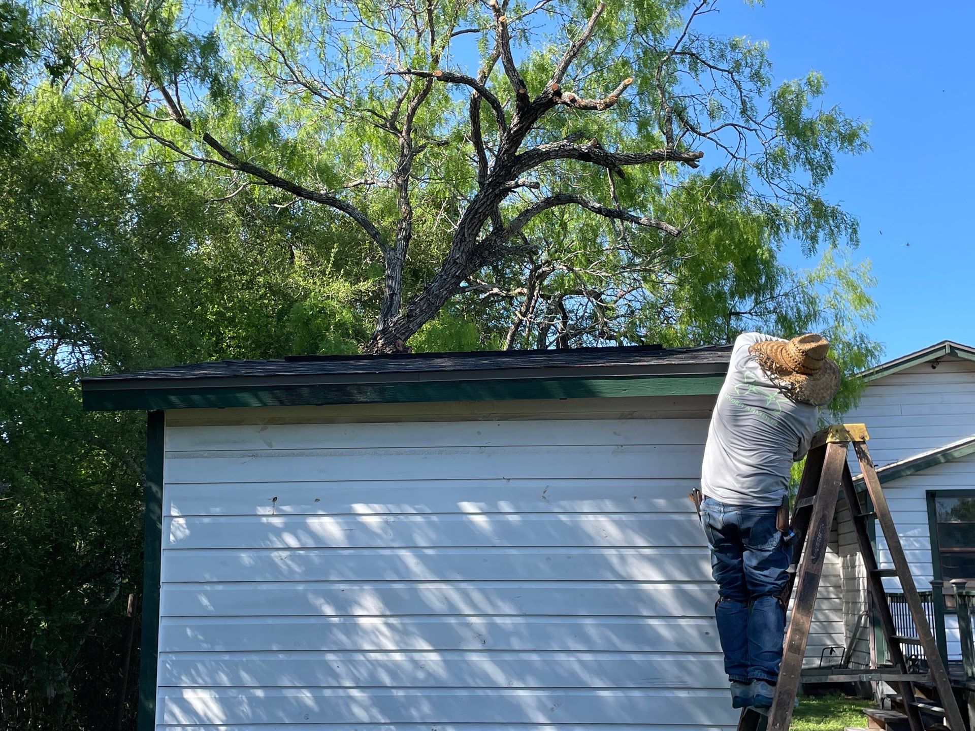 Alice Keeper by Bayfront Roofing and Construction