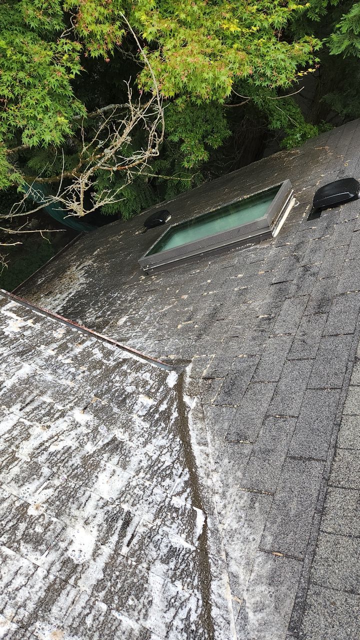 Moss Treatment using Biocide by Willamette Outdoor Wash LLC